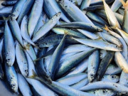 Sức khỏe - Đặc sản xưa dành cho "người nghèo", nay phơi khô bán 220.000 đồng/kg được ưa chuộng ở thành phố, tốt cho sức khoẻ