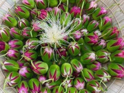 Lifestyle - Thứ mọc dại xưa rụng đầy không ai biết đến, nay thành đặc sản nổi tiếng ở thành phố, hương vị đặc biệt