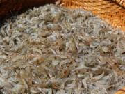 Tiêu dùng - Đặc sản có tên rất lạ, xưa dành cho "người nghèo" nay dân thành phố tranh nhau mua vì hương vị lạ, 150.000 đồng/kg