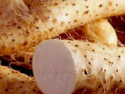 Sức khỏe - "Báu vật dưới lòng đất" xưa dành cho người nghèo, nay thành đặc sản được ưa chuộng giá 100.000 đồng/kg, tốt cho bệnh tiểu đường