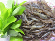 Tiêu dùng - Đặc sản xưa "người nghèo" mới ăn, giá rẻ như cho nay được dân thành phố ưa chuộng vì hương vị lạ, 200.000 đồng/kg