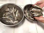 Tiêu dùng - Đặc sản xưa dành cho "người nghèo", giá rẻ như cho nay dân thành phố ưa chuộng vì hương vị lạ, 100.000 đồng/kg