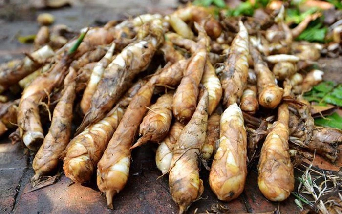 Món nhà nghèo xưa ăn cứu đói nay thành đặc sản khoái khẩu ở thành phố đến mùa khách tranh nhau mua - 1