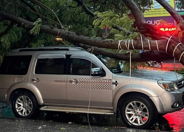 Cây ngã đè xe ô tô trên đường Nguyễn Văn Linh
