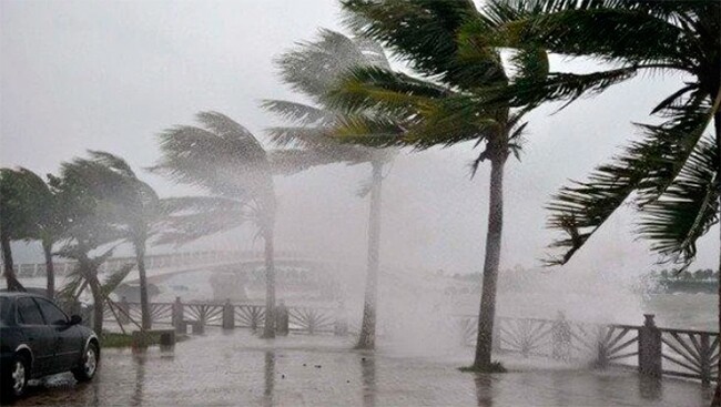 Triển khai các biện pháp đề phòng gió mạnh, sóng lớn và mưa dông trên biển.