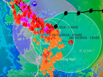 Tin tức - Tin tức 24h: Bão Trami suy yếu thành áp thấp nhiệt đới, gây mưa lớn ở Trung Trung Bộ