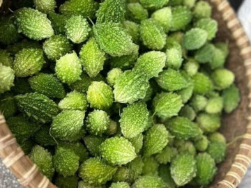 Loại quả xưa không ai ngó ngàng, nay thành đặc sản có hương vị lạ ở thành phố, tốt cho sức khoẻ