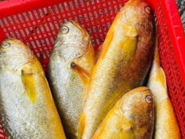 Đặc sản có tên rất lạ, mỗi năm chỉ có một mùa nay dân thành phố săn lùng, là thần dược bồi bổ sức khỏe