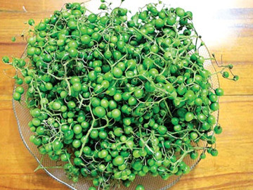 Loại quả xưa dành cho người nghèo, giá rẻ như cho nay thành đặc sản dân thành phố ưa chuộng, 70.000 đồng/kg