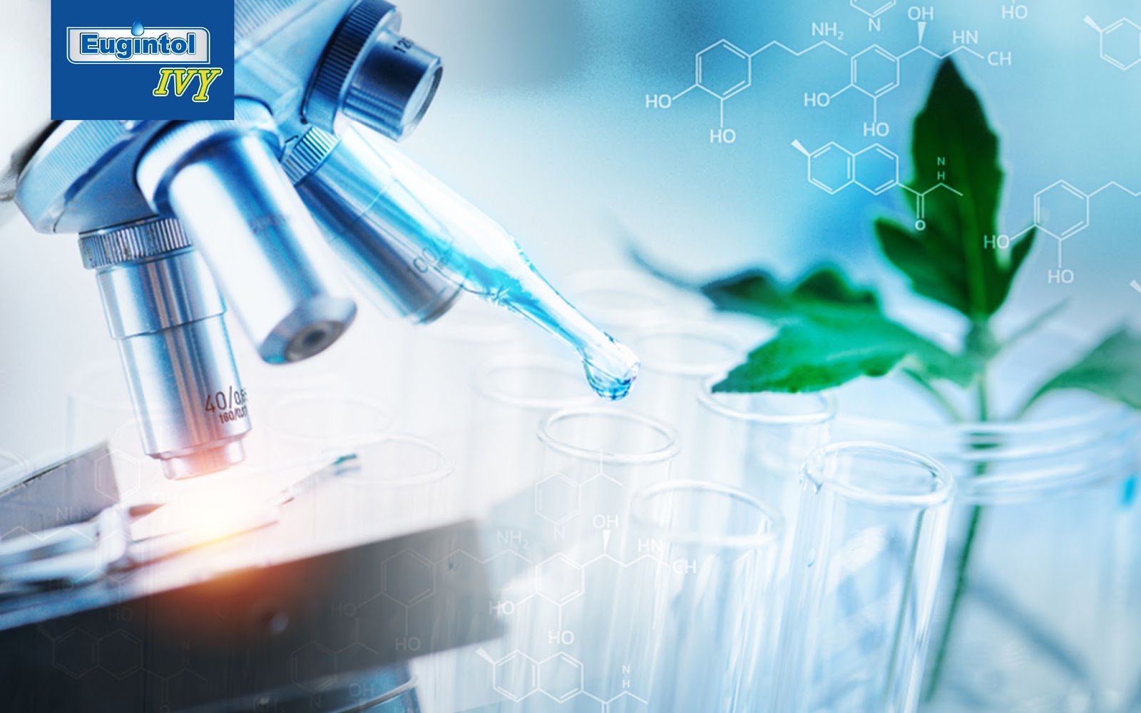 Xu hướng sử dụng thảo dược trong thực phẩm chức năng hỗ trợ đường hô hấp - 1