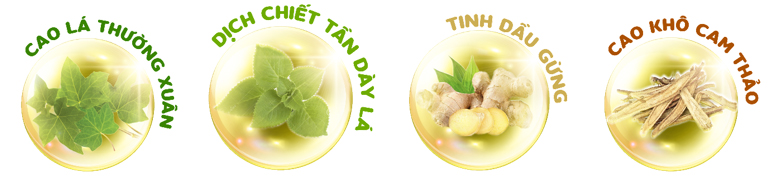 Xu hướng sử dụng thảo dược trong thực phẩm chức năng hỗ trợ đường hô hấp - 2