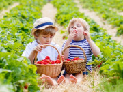 Sức khỏe - Một ngày ăn bao nhiêu đường là đủ? Chỉ với 5 thói quen đơn giản này, có thể giúp bạn giảm nguy cơ mắc tiểu đường