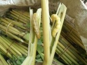 Tiêu dùng - Đặc sản mỗi năm chỉ có một mùa, nay dân thành phố ưa chuộng vì có hương vị đặc biệt, 500.000 đồng/kg