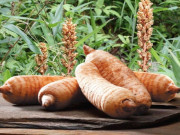 Sức khỏe - Loại củ nghe tên xa lạ nhưng hóa ra rất quen thuộc ở Việt Nam, giúp tiêu diệt hàng nghìn tế bào ung thư phát triển mỗi ngày