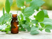 Sức khỏe - Giải mã gia vị đang "hot rần rần" tại Hàn Quốc, điều gì sẽ xảy ra nếu ăn đều đặn loại gia vị này mỗi ngày?