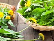 Sức khỏe - Loại rau giá rẻ như cho, bán đầy chợ Việt lại là "siêu thực phẩm" của mùa đông, từ 5.000 đồng là mua được