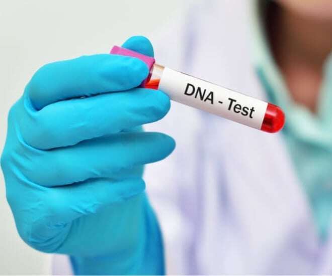 Nhiều người vì lý do cá nhân sẵn sàng chi rất nhiều tiền để hối lộ kết quả DNA. Ảnh minh họa. 