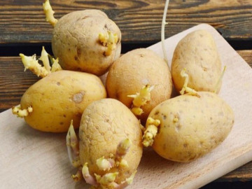 14 loại rau củ người tiết kiệm không nỡ bỏ, dùng làm món ăn nhưng dễ rước độc, tăng nguy cơ mắc ung thư