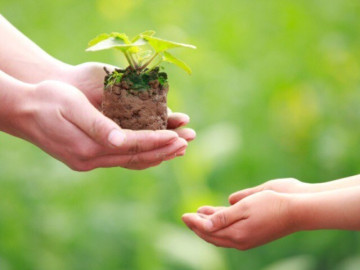 Làm 4 việc đơn giản này mỗi ngày, bạn sẽ có một sức khoẻ tinh thần cực tốt, đẩy lùi bệnh tật