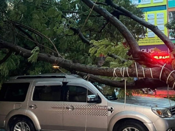 Đảo Cồn Cỏ gió cấp 9, Thừa Thiên Huế cấm người dân ra đường ứng phó bão Trà Mi