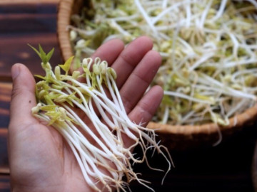 Remember these 3 tips, when you go to the market, just look at it and you will know which bean sprouts are good for your health and which ones are "soaked" in chemicals.