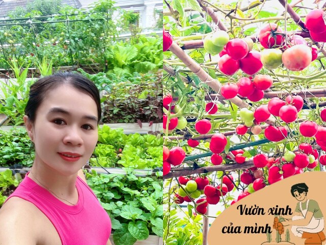 Mẹ đảm 3 con Hà Nội làm vườn sân thượng 40m2, mách bí quyết để được khu vườn xanh mướt ăn không xuể