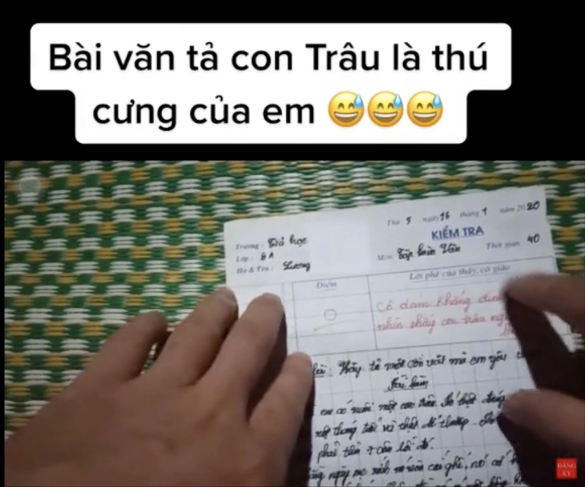 Bài văn tả con vật yêu thích của bé lớp 6 bị cô giáo thẳng tay chấm 0 điểm, đọc xong ai cũng đồng tình - 2