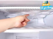 Nhà đẹp - Chạm vào vị trí này của tủ lạnh, tiết kiệm tiền điện rất hiệu quả, nhiều người sử dụng mấy chục năm mà không biết