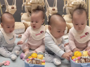 Yêu con - Sau đoạn clip 1 phút, cặp sinh đôi Jimmy Jenny 5 tháng tuổi nhà Phương Oanh Shark Bình hút hàng chục ngàn lượt yêu thích