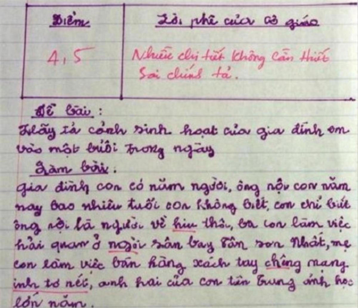 Viết văn tả cảnh sinh hoạt của gia đình, bé tiểu học nhận 4,5 điểm, ai đọc cũng lắc đầu khó hiểu - 2