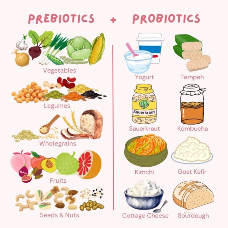 Prebiotic amp; Probiotic - lợi khuẩn đặc trưng có trong một số loại mỹ phẩm cao cấp cũng là guồn dưỡng chất thiết yếu cho hệ vi sinh vật trên da, tăng cường sức đề kháng, củng cố hàng rào bảo vệ da, duy trì độ ẩm và mang lại làn da săn chắc, khỏe mạnh.