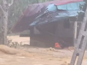 Tin tức - Video: Nghẹt thở khoảnh khắc lực lượng cứu hộ vượt dòng nước xiết cứu 2 cụ già thoát chết