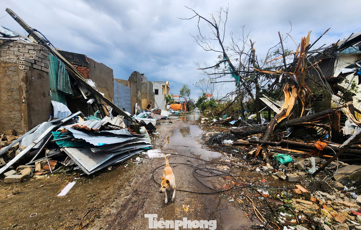 Cảnh tan hoang, đổ nát, xác xơ ở ngôi làng bị lốc xoáy tàn phá.