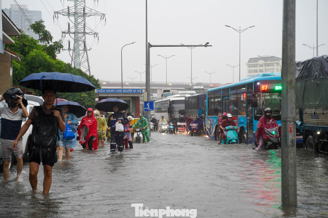 img src/upload/4-2025/images/2025-10-07/1759804866-tp-tienphong-31-5410-width1390height927.jpg width660 /