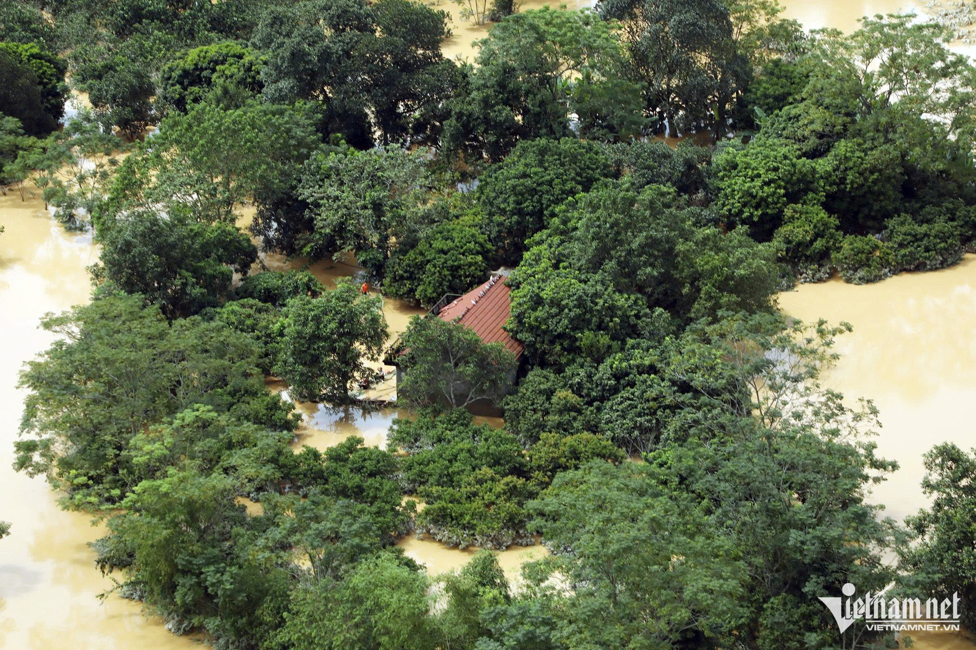 Ông Vũ Văn Thịnh, Bí thư Đảng ủy xã Yên Bình, cho biết Yên Bình là một trong những địa phương chịu ảnh hưởng nặng nề nhất do bão Matmo. Toàn xã có tới 747 hộ dân thuộc 15 thôn bị cô lập hoàn toàn bởi nước lũ, cho thấy mức độ tàn phá khủng khiếp của cơn bão. Trước tình hình nguy cấp, chính quyền địa phương đã phải di dời khẩn cấp, đưa 300 hộ gia đình với 200 nhân khẩu đến nơi an toàn.