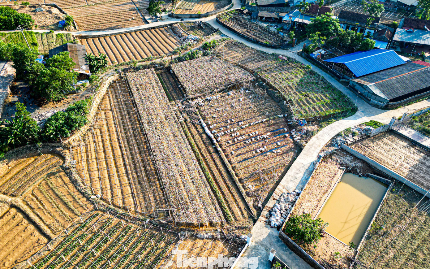 Sau khi nước rút, nhiều cánh đồng, ruộng vườn ở tỉnh Thái Nguyên lộ lên khung cảnh “bạc trắng” hoang tàn, cây trồng bị vùi trong bùn, ngả rạp....