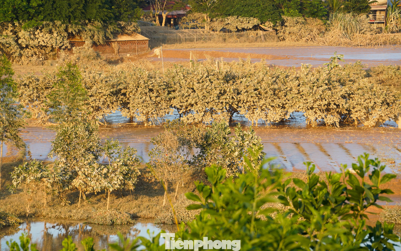 Cả cánh đồng lúa, hoa màu tan hoang, người dân Thái Nguyên bật khóc - 15