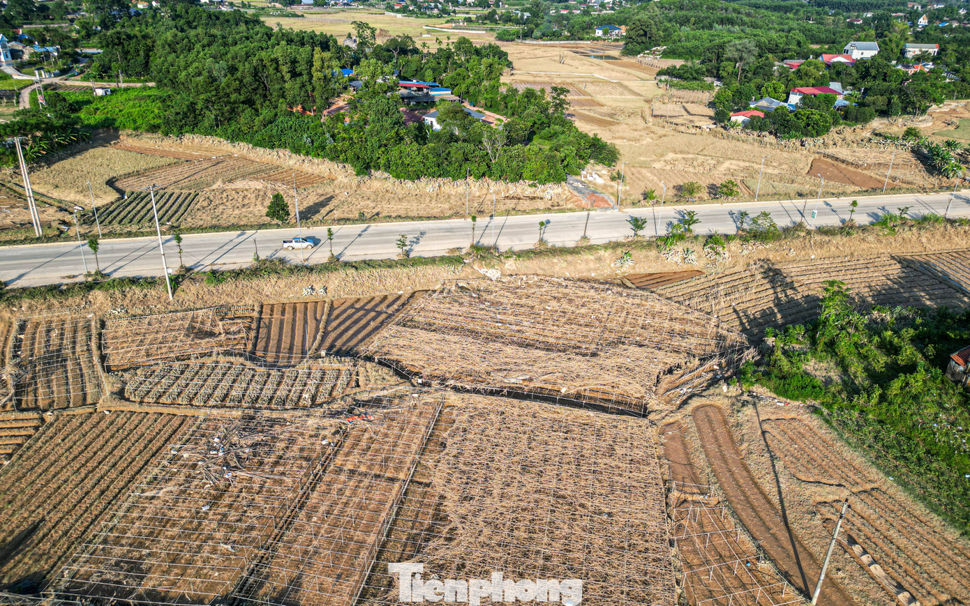 Theo Sở NNamp;MT tỉnh Thái Nguyên, tính đến ngày 11/10, tổng diện tích cây trồng bị ngập và hư hỏng khoảng 10.485 ha. Trong đó, cơn bão số 10 gây thiệt hại 3.536 ha, diện tích này tiếp tục bị ngập khi cơn bão số 11 đổ bộ. Hiện sở đang chỉ đạo các đơn vị liên quan tập trung các biện pháp khôi phục sản xuất, đáp ứng nhu cầu thực phẩm trong thời gian tới.