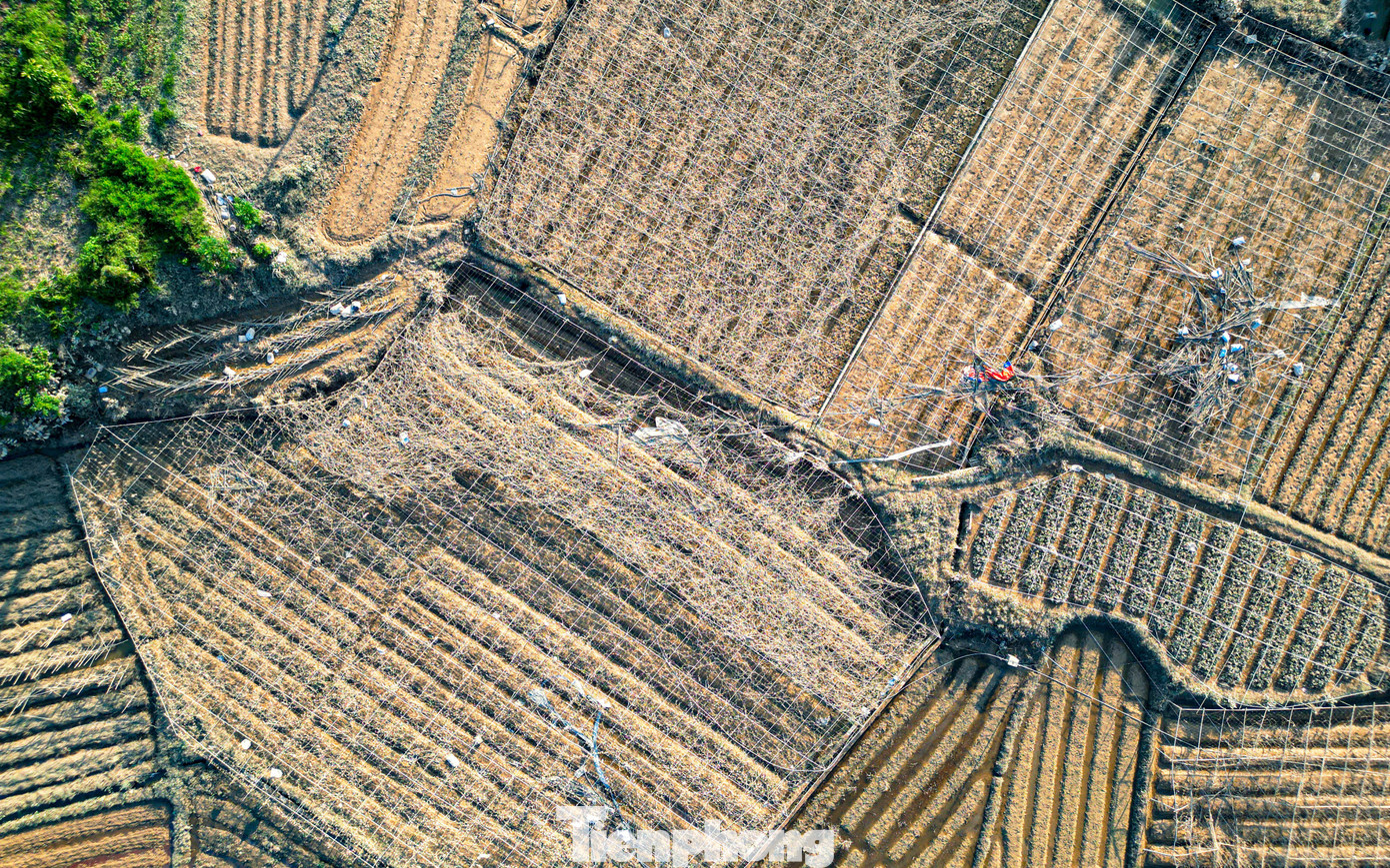 img src/upload/4-2025/images/2025-10-11/1760192905-tp-tienphong-11-width1390height869.jpg width660 /