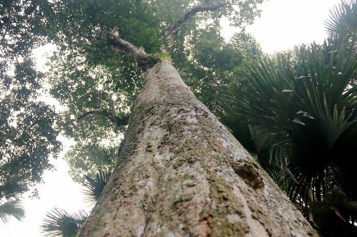 Đền Khoai Vạc, không chỉ thờ thần núi mà còn là nơi tưởng nhớ các vị anh hùng có công bảo vệ làng quê.