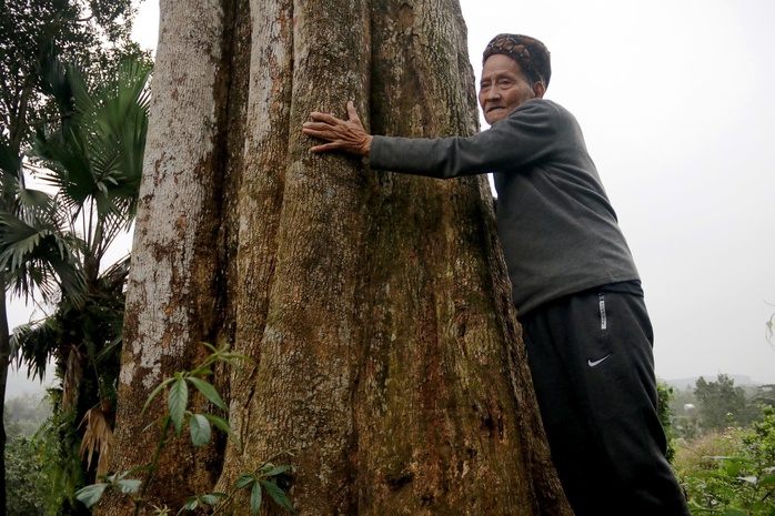 “Từ ngày được giao nhiệm vụ trông coi đền và kiêm luôn việc canh giữ, chăm sóc hai cây dó trầm. Ông cũng như người trong làng đều xem hai cây dó trầm như báu vật. Đã có nhiều thương lái đến hỏi mua với giá rất cao, nhưng dân làng quyết không bán, chúng tôi muốn giữ cây dó trầm cho thế hệ sau”, cụ Chiến nói.
