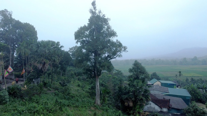 Bởi dân làng xem đây không chỉ là tài sản mà còn là linh hồn, là báu vật gắn với truyền thống và lịch sử của làng.