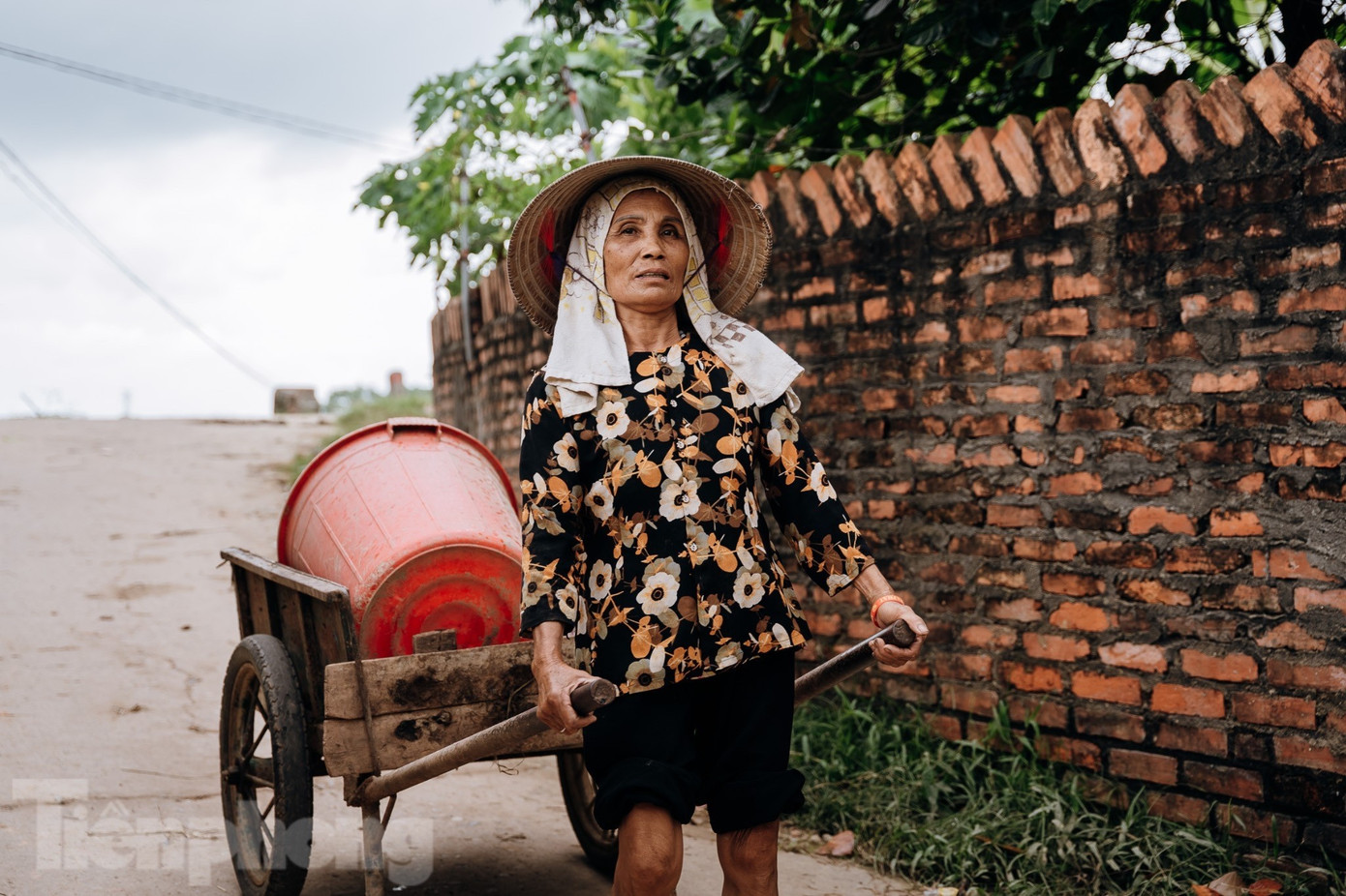 “Chuồng trại giờ đây lầy lội, bám bùn đất, cần được dọn dẹp và khử trùng kỹ lưỡng trước khi vật nuôi trở lại,” người dân thôn Mai (xã Trung Giã, Hà Nội) thở dài.
