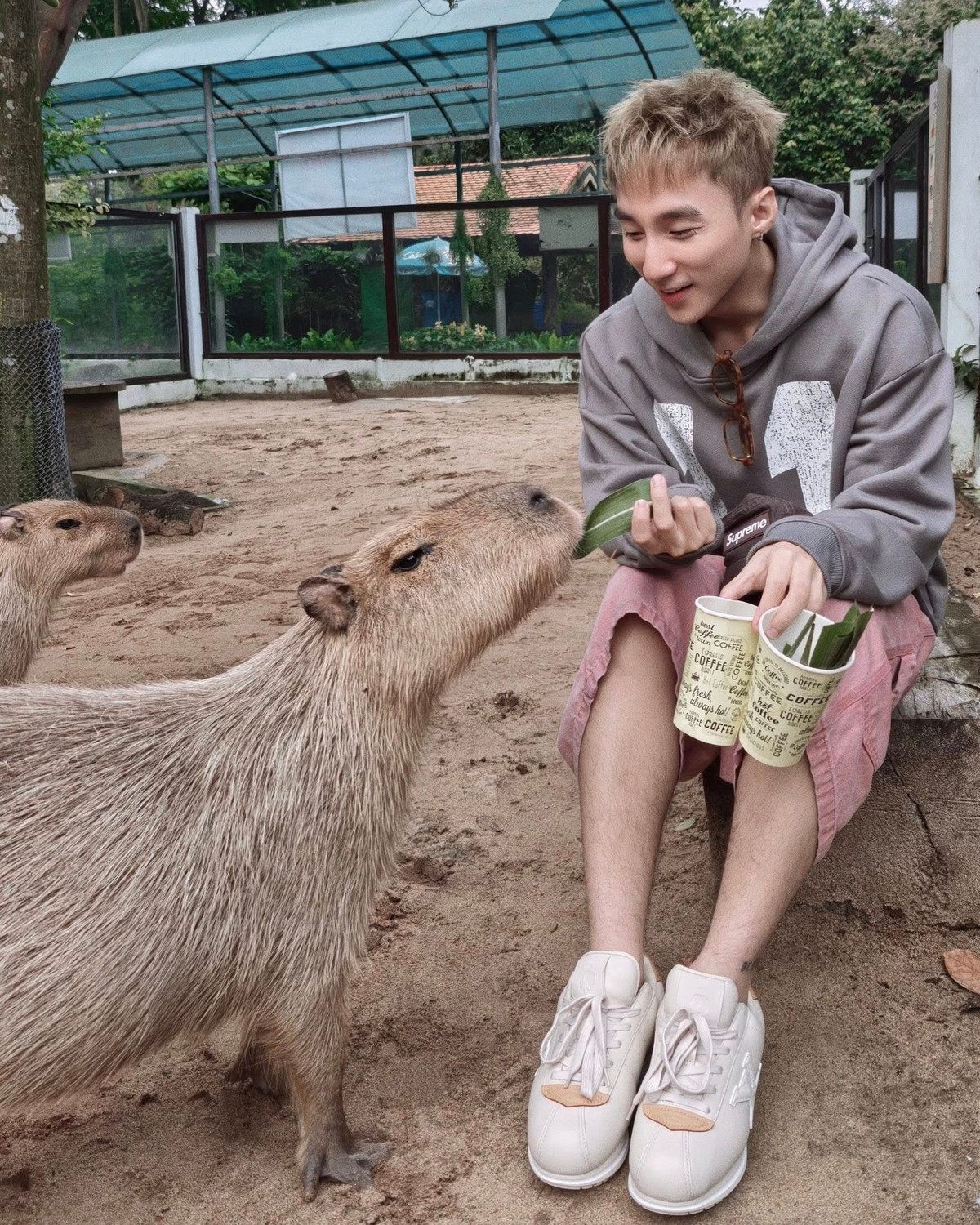 Sơn Tùng M-TP khiến mạng xã hội amp;#39;bùng nổamp;#39; khi check-in ở Thảo Cầm Viên - 4