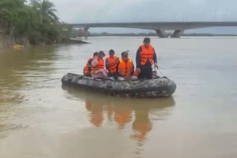 Khu vực tìm thấy tìm thấy thi thể 2 con.