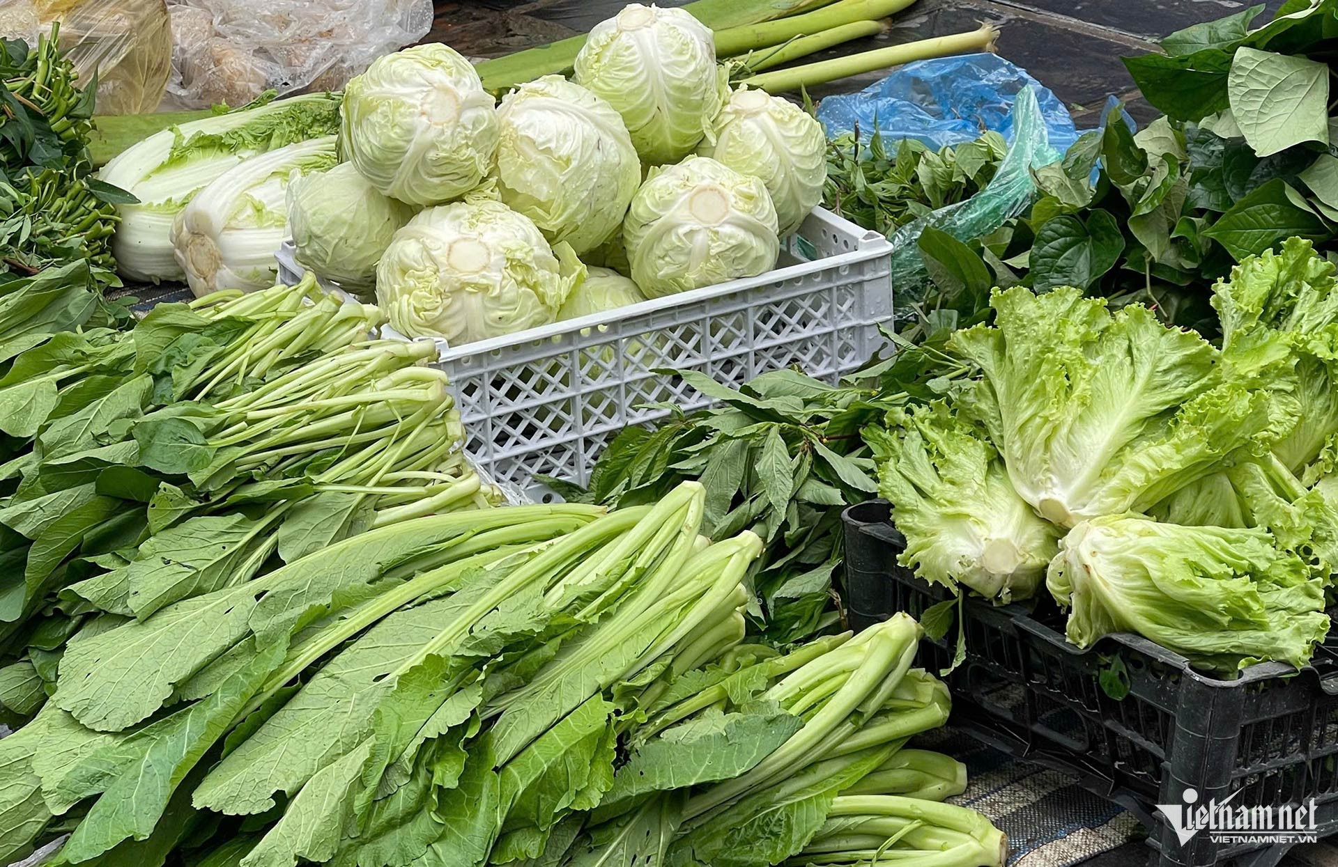 Mặt hàng rau lá ít hơn so với thường ngày. Ảnh: Vũ Hường