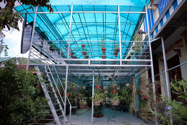 Vườn lan 2 tầng với tổng diện tích gần 100 m2. Gia đình cho biết chăm sóc hoa lan là niềm yêu thích, chưa có ý định bán.