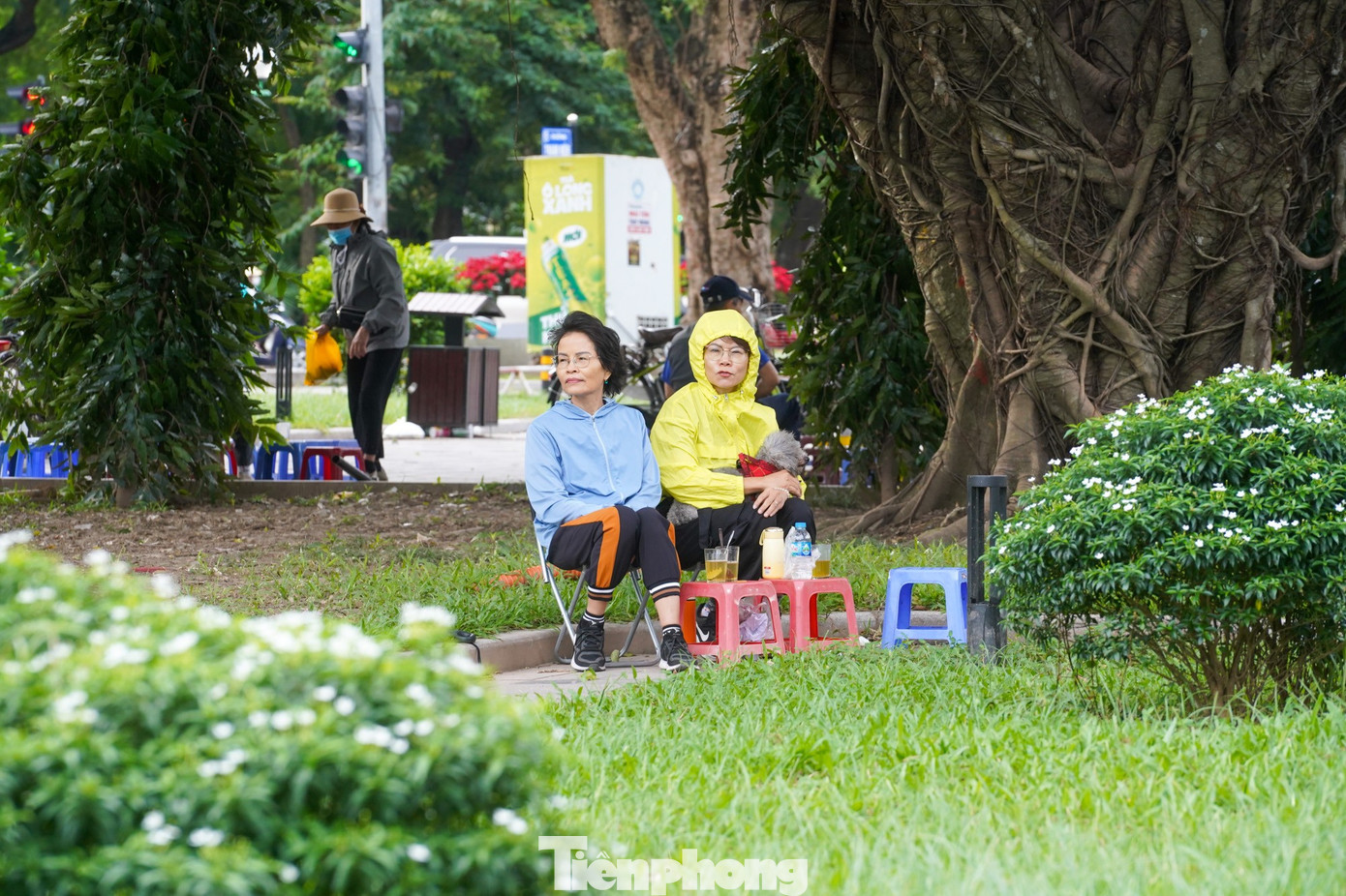 Co ro trong gió lạnh đầu mùa.