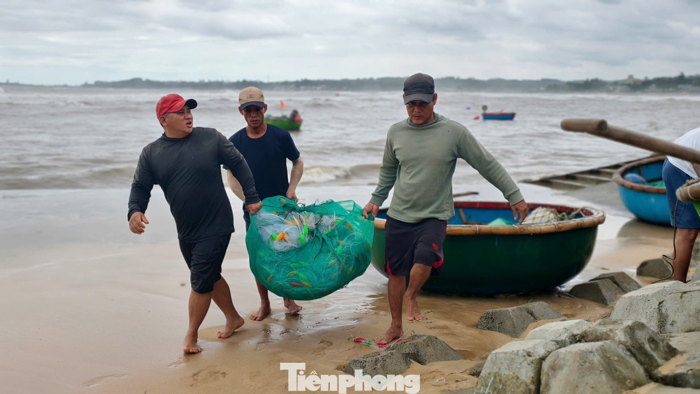 amp;#34;Đánh liềuamp;#34; ra khơi giữa sóng lớn, ngư dân Quảng Ngãi trúng đậm - 9
