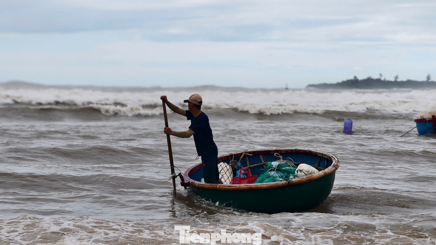 amp;#34;Đánh liềuamp;#34; ra khơi giữa sóng lớn, ngư dân Quảng Ngãi trúng đậm - 5